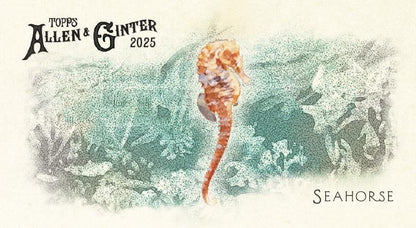 2025 Topps Allen & Ginter Baseball Blaster Box