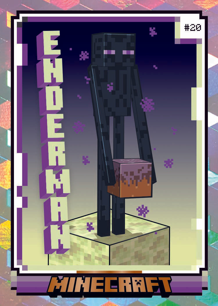 Minecraft Hobby Preferred Box