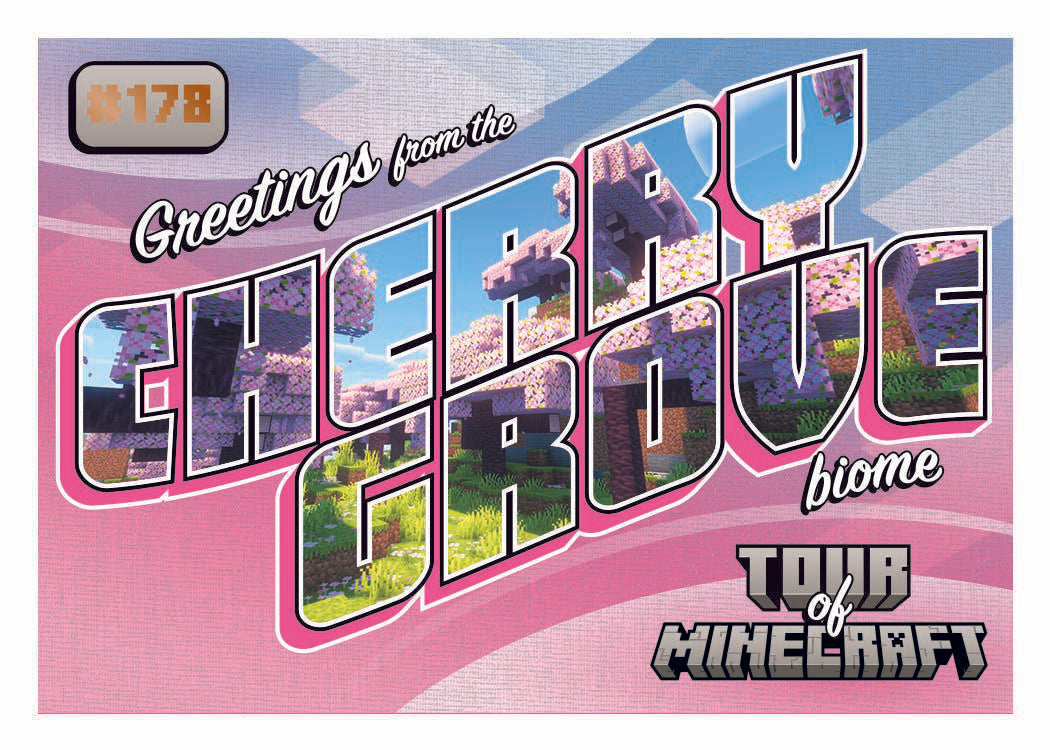 Minecraft Hobby Preferred Box