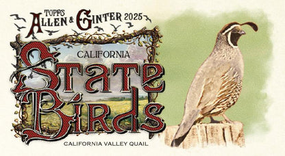 2025 Topps Allen & Ginter Baseball Fat Pack