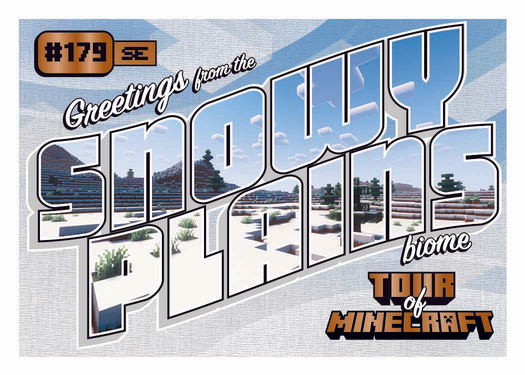 2025 Panini Minecraft Special Edition Hobby Box